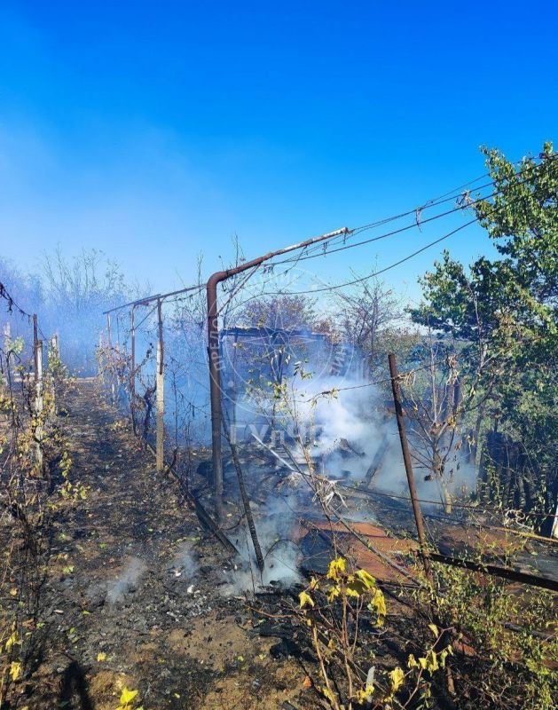 В Бендерах произошло два крупных возгорания сухой травы В Бендерах произошло два крупных возгорания сухой травы