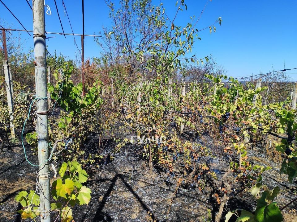 В Бендерах произошло два крупных возгорания сухой травы В Бендерах произошло два крупных возгорания сухой травы