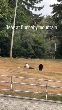    ,       :