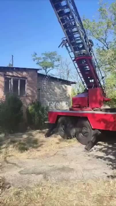 Так в Бендерах спасали рыжего кота Чиню