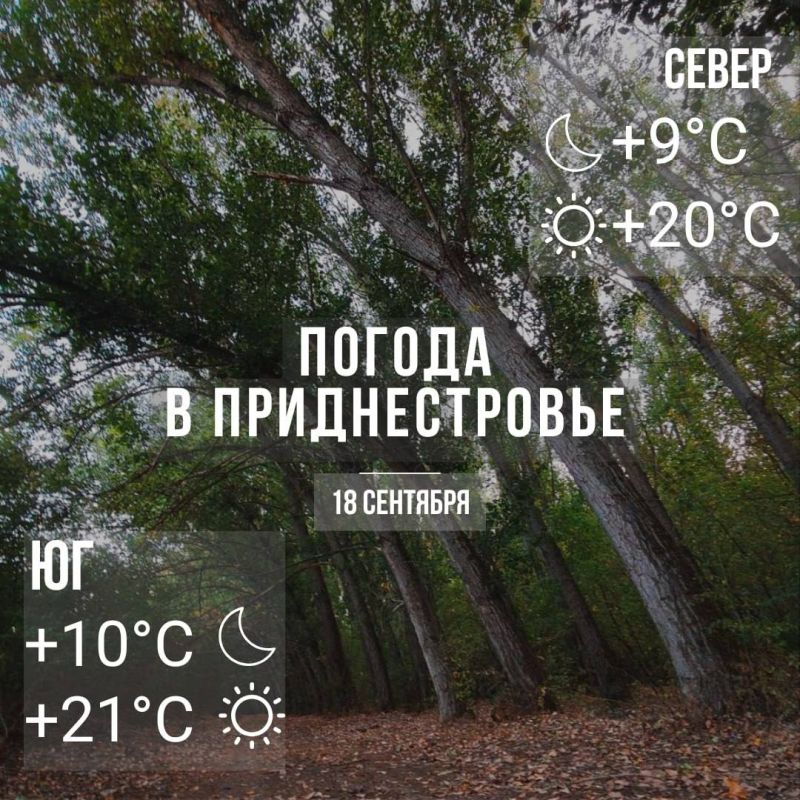 Днём – до +21°С, без осадков
