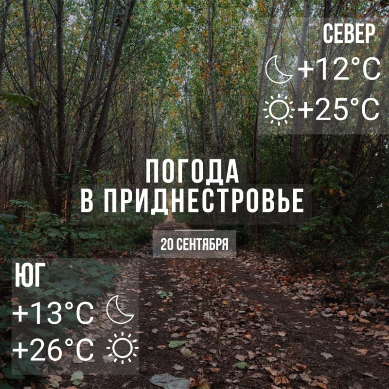 Днём – до +26°С. Без существенных осадков