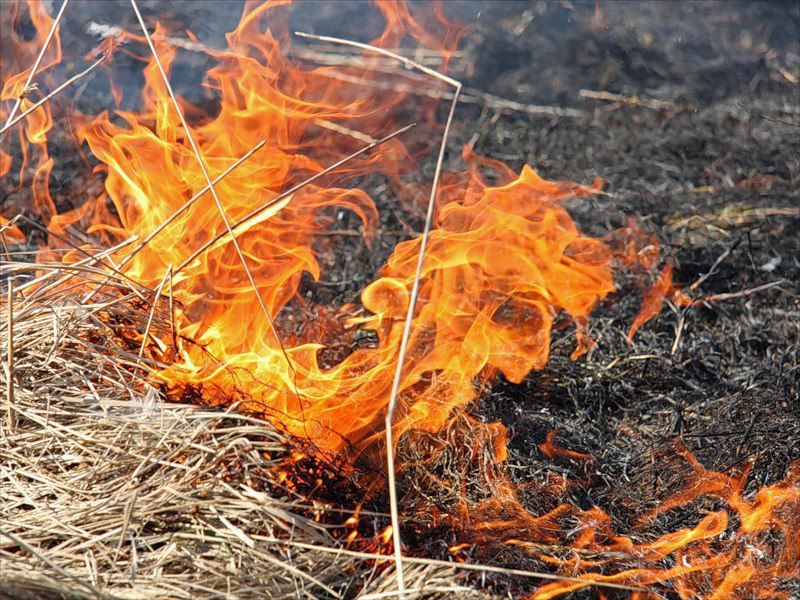 В Григориопольском районе за выходные сгорели 4,5 гектара сухой травы – ГУпЧС