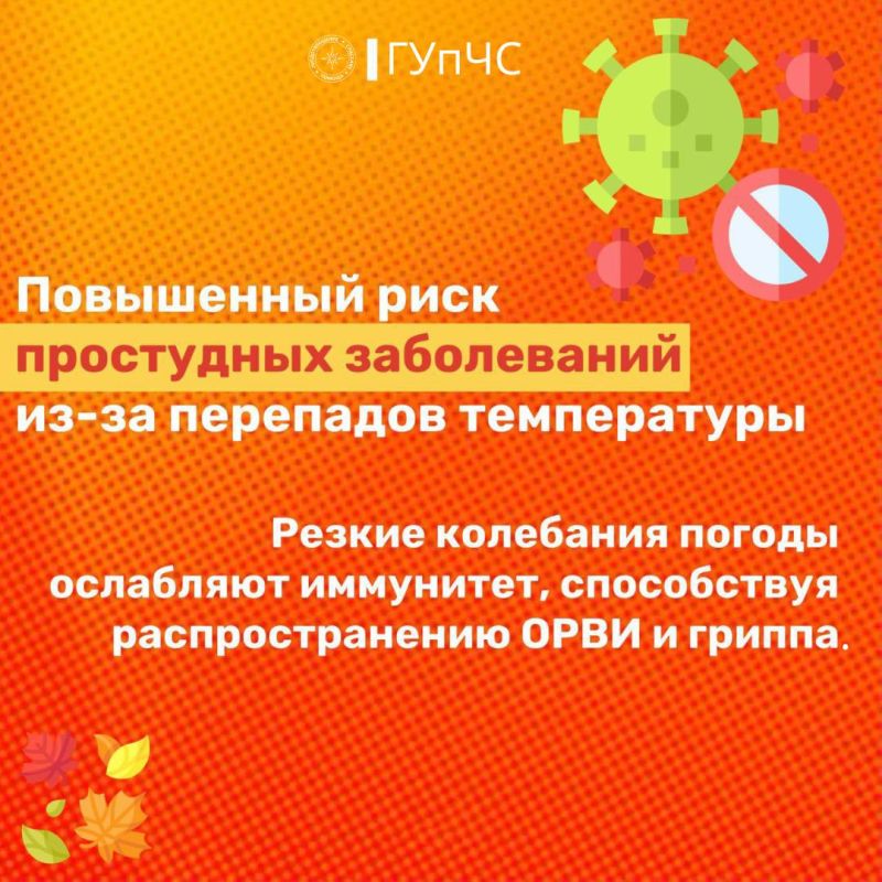 Осень – это удивительное время Осень – это удивительное время