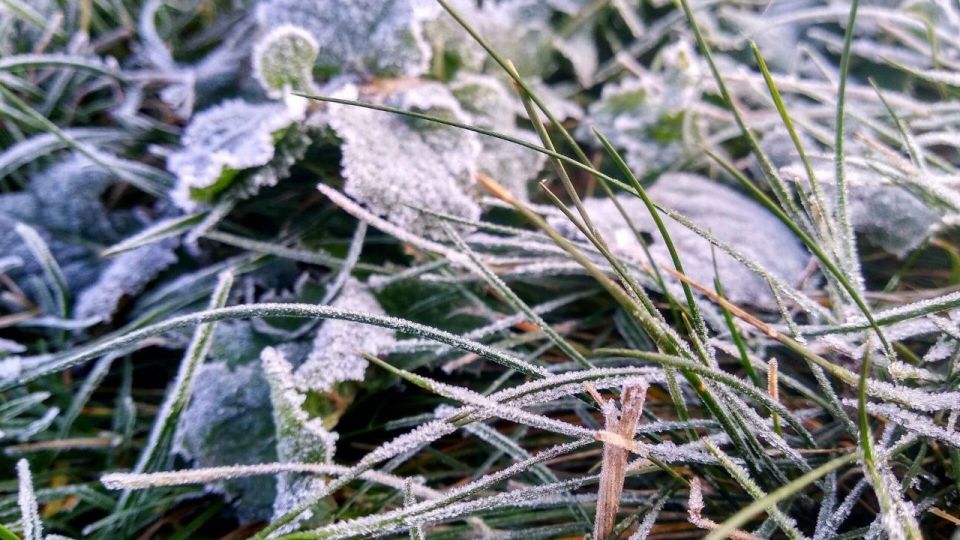С 26 по 28 сентября утром местами заморозки на почве до -4°C