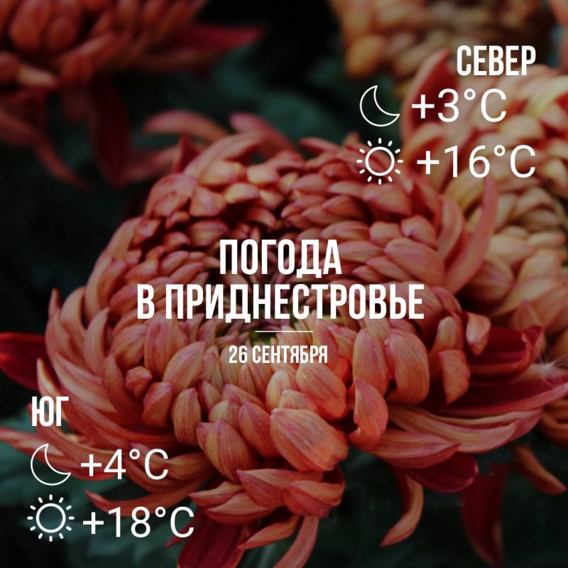 Днём - до +18°С, без осадков