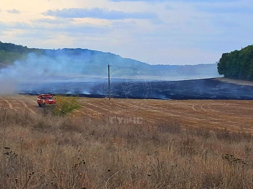 Два расчета григориопольских огнеборцев тушат сухую траву в районе села Красное Два расчета григориопольских огнеборцев тушат сухую траву в районе села Красное