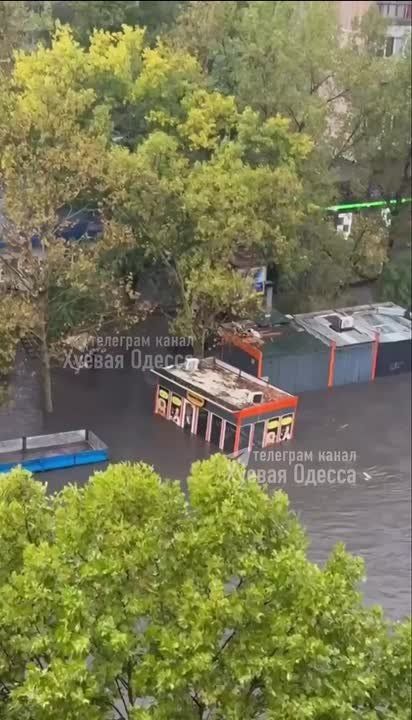 В Одессе шаурмечная отправилась в большое плавание