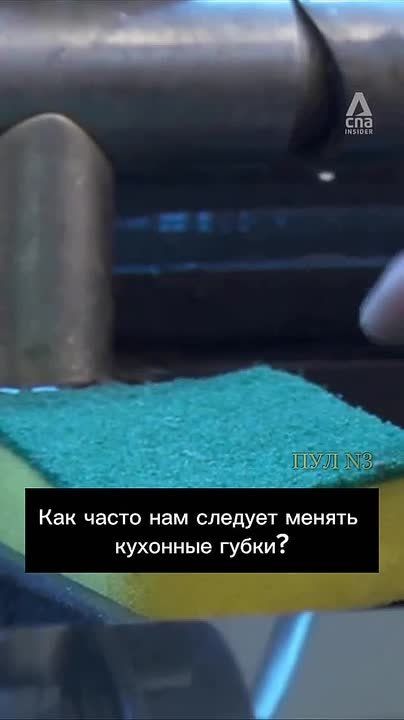 В США ученые пришли к выводу, что губка для мытья посуды грязнее сиденья для унитаза: