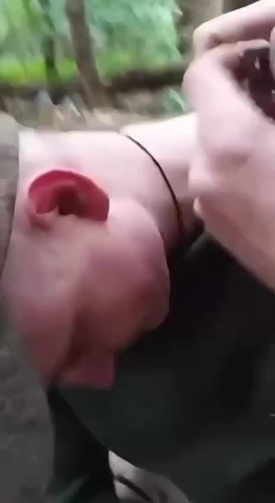Случай на #СВО