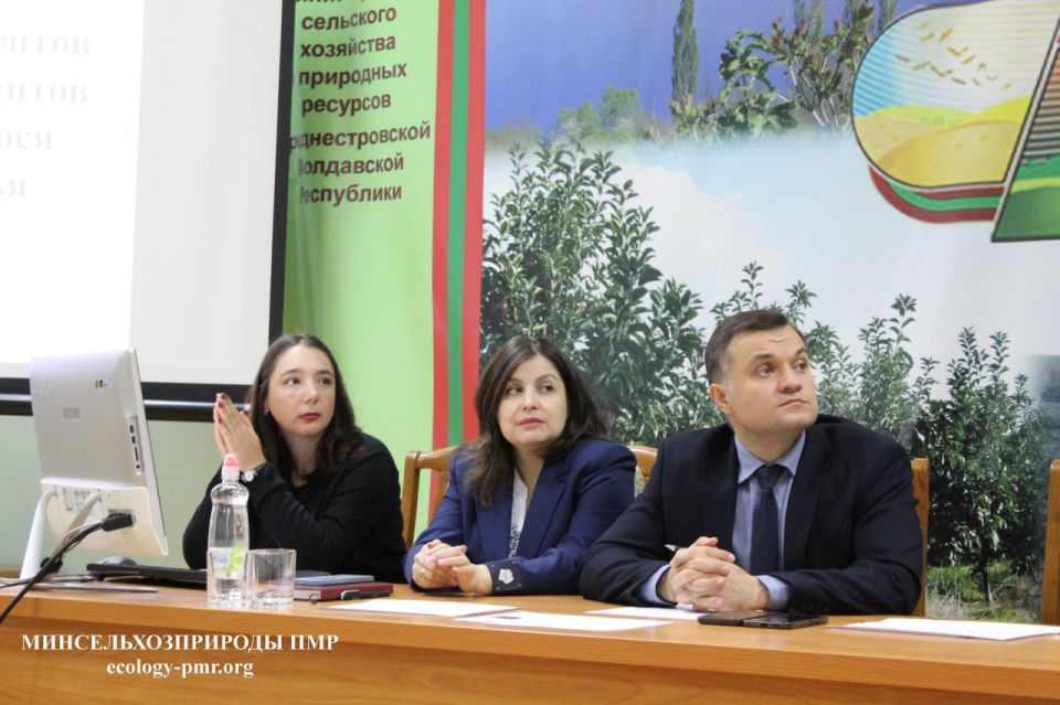 Какие растения устойчивы к нашему климату и что можно высаживать на улицах Приднестровья Какие растения устойчивы к нашему климату и что можно высаживать на улицах Приднестровья