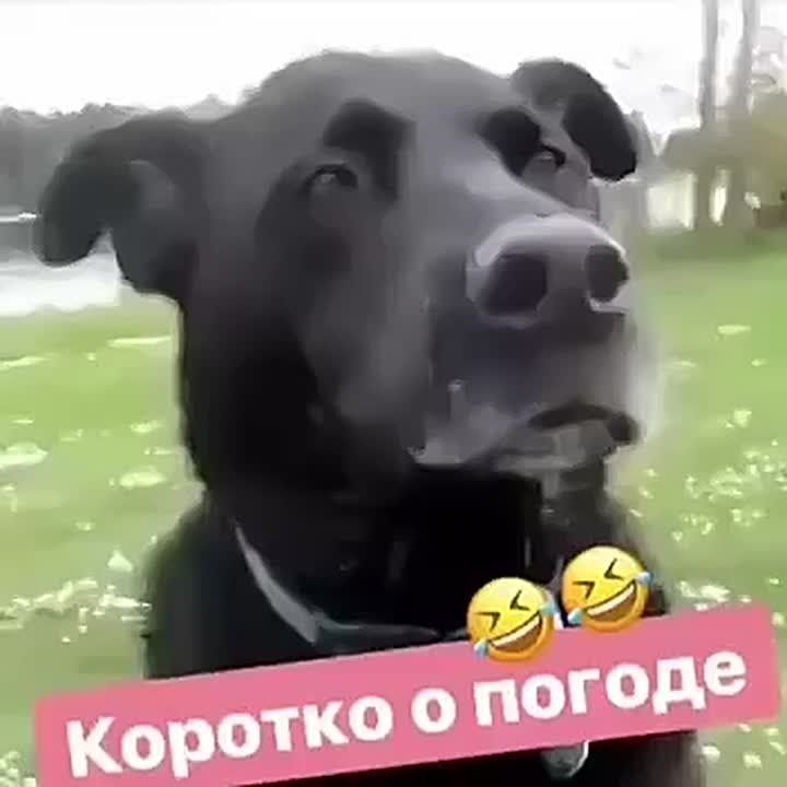 Молдавские синоптики объявили жёлтый код из-за заморозков до -2 в воздухе на 2 и 3 октября