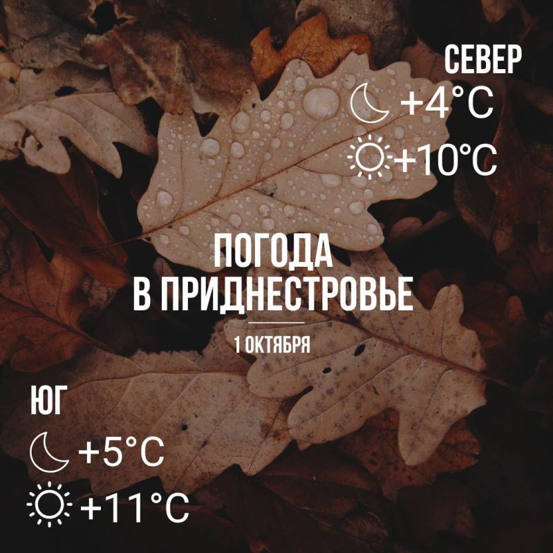 Днём – до +11°С, местами кратковременный дождь
