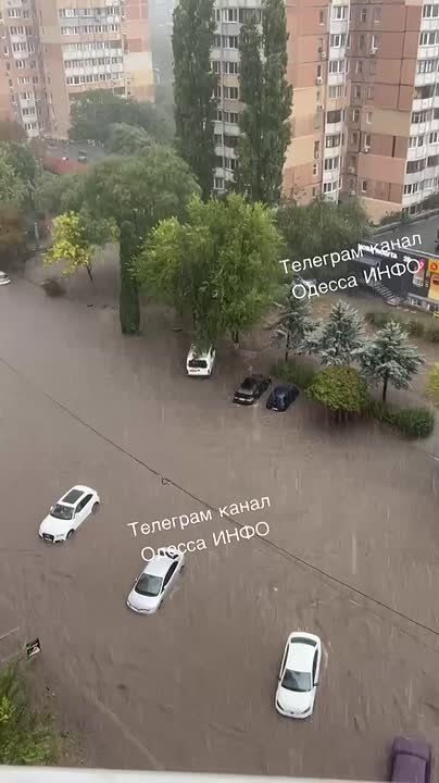В Одессе из-за мощного ливня погибли девять человек