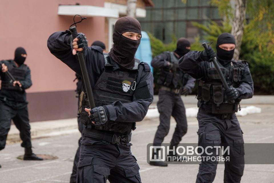 Искусство рукопашного боя и отличная физическая форма — обязательные условия службы в «Скорпионе», отряде специального назначения ГСИН Искусство рукопашного боя и отличная физическая форма — обязательные условия службы в «Скорпионе», отряде специального назначения ГСИН