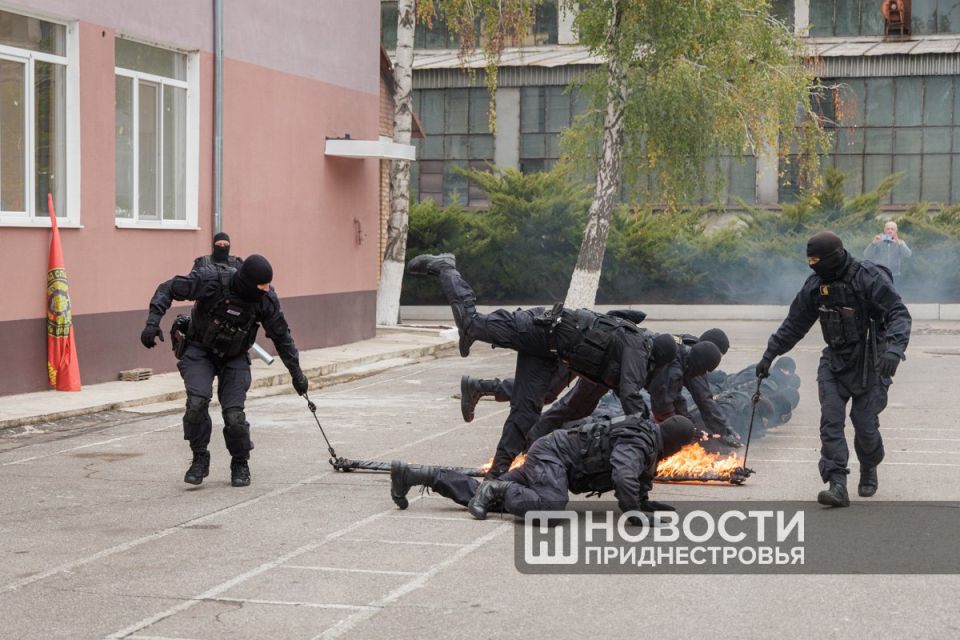 Искусство рукопашного боя и отличная физическая форма — обязательные условия службы в «Скорпионе», отряде специального назначения ГСИН Искусство рукопашного боя и отличная физическая форма — обязательные условия службы в «Скорпионе», отряде специального назначения ГСИН