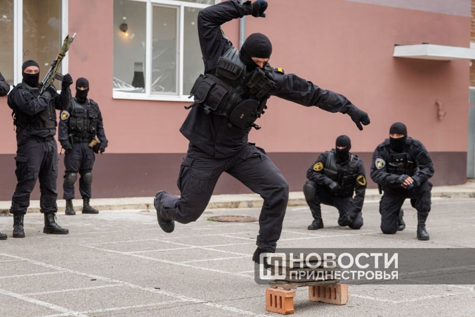 Искусство рукопашного боя и отличная физическая форма — обязательные условия службы в «Скорпионе», отряде специального назначения ГСИН Искусство рукопашного боя и отличная физическая форма — обязательные условия службы в «Скорпионе», отряде специального назначения ГСИН