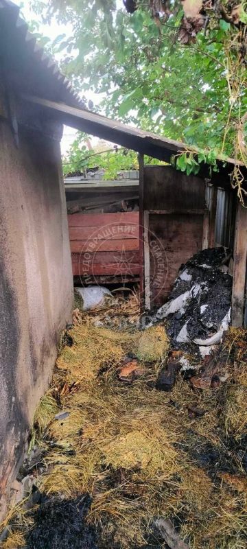 В Слободзее едва не сгорел курятник В Слободзее едва не сгорел курятник