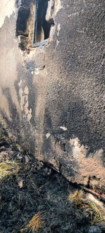 В Слободзее едва не сгорел курятник В Слободзее едва не сгорел курятник