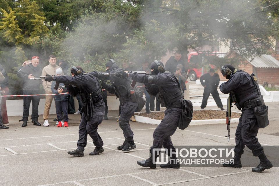 Искусство рукопашного боя и отличная физическая форма — обязательные условия службы в «Скорпионе», отряде специального назначения ГСИН Искусство рукопашного боя и отличная физическая форма — обязательные условия службы в «Скорпионе», отряде специального назначения ГСИН