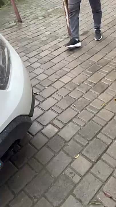 Свободная демократическая страна