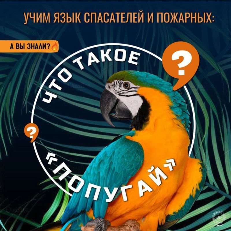 #ЭтоИнтересно: «Попугай» — главный помощник спасателей #ЭтоИнтересно: «Попугай» — главный помощник спасателей
