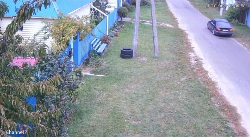 На Украине ТЦК мобилизовали кота