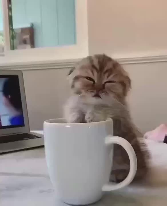 Чтобы проснуться, начинайте утро с кофе!