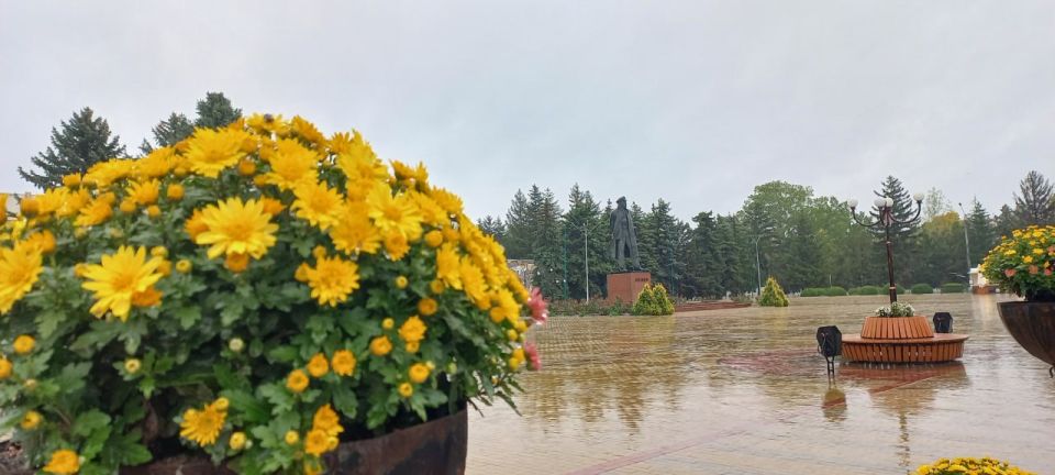 Дождливое настроение от Каменки до Днестровска Дождливое настроение от Каменки до Днестровска