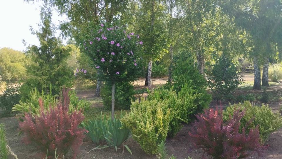 Доброго утра!. Прогноз погоды на сегодня, 7 октября Доброго утра!. Прогноз погоды на сегодня, 7 октября