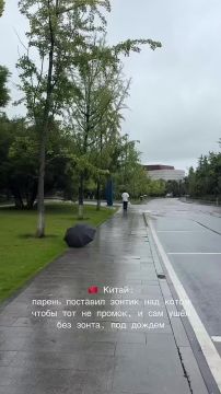 Немного милоты из Китая. Парень решил защитить кота от дождя и оставил ему свой зонтик