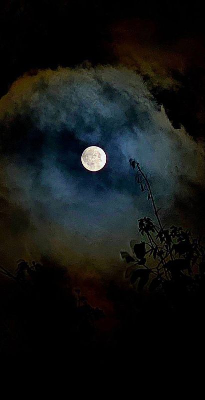 Жители всех регионов России этой ночью наблюдали суперлуние Жители всех регионов России этой ночью наблюдали суперлуние