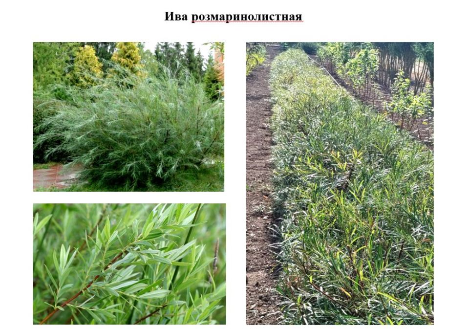 Доброго утра!. Прогноз погоды на сегодня, 7 октября Доброго утра!. Прогноз погоды на сегодня, 7 октября