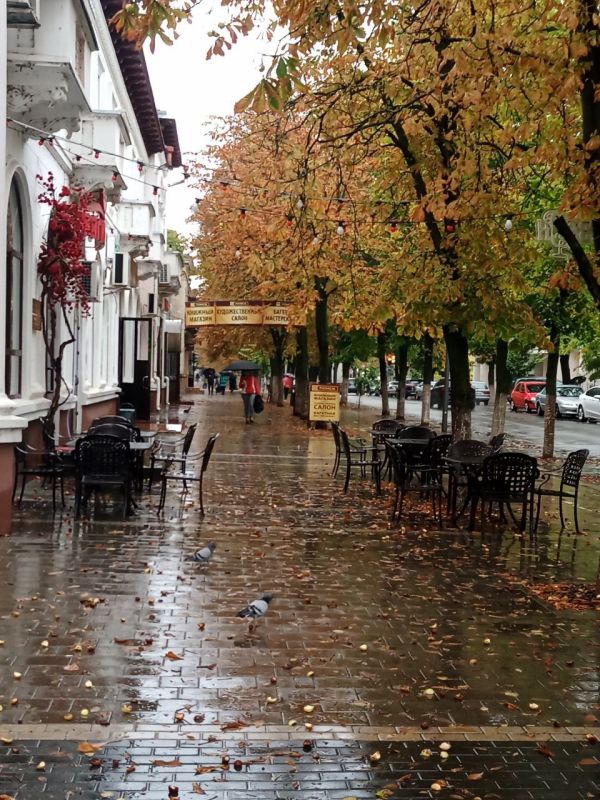 Дождливое настроение от Каменки до Днестровска