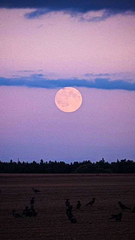 Жители всех регионов России этой ночью наблюдали суперлуние Жители всех регионов России этой ночью наблюдали суперлуние