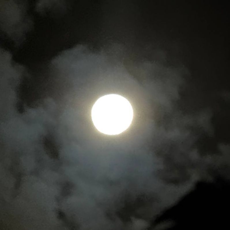 Жители всех регионов России этой ночью наблюдали суперлуние Жители всех регионов России этой ночью наблюдали суперлуние