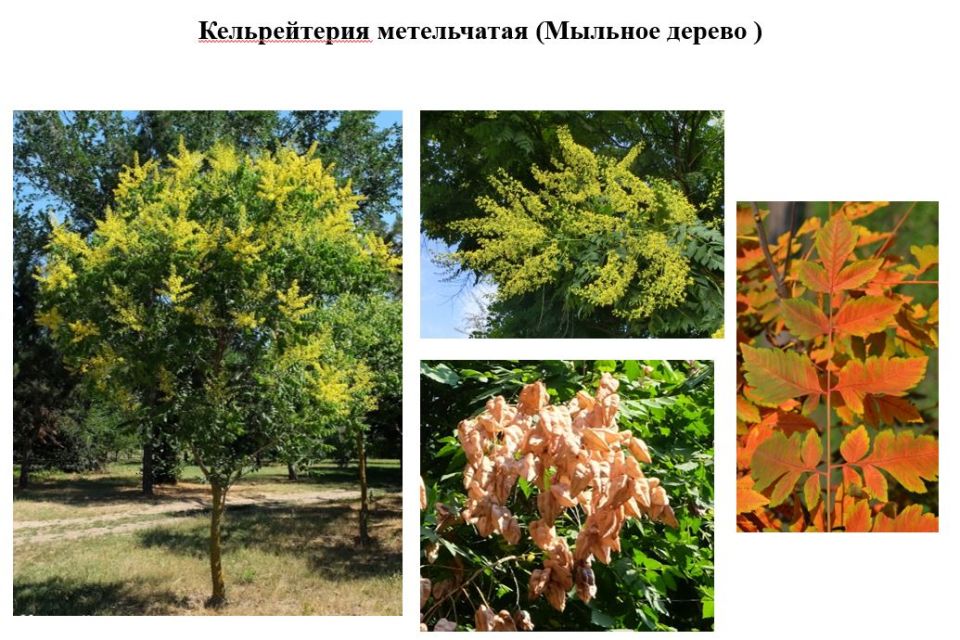 Доброго утра!. Прогноз погоды на сегодня, 7 октября Доброго утра!. Прогноз погоды на сегодня, 7 октября