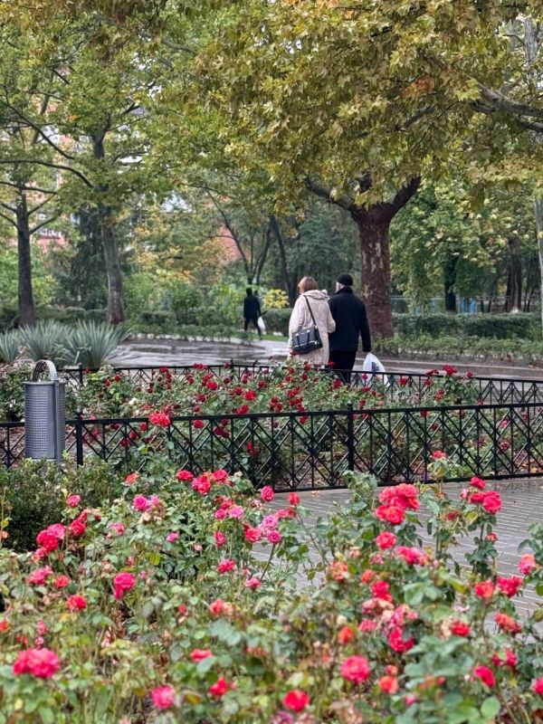 Дождливое настроение от Каменки до Днестровска Дождливое настроение от Каменки до Днестровска