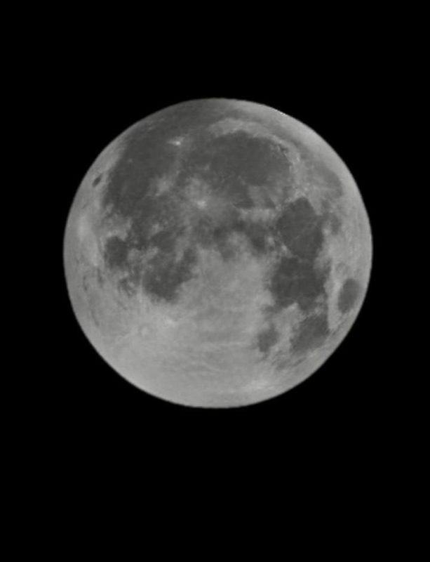 Жители всех регионов России этой ночью наблюдали суперлуние Жители всех регионов России этой ночью наблюдали суперлуние