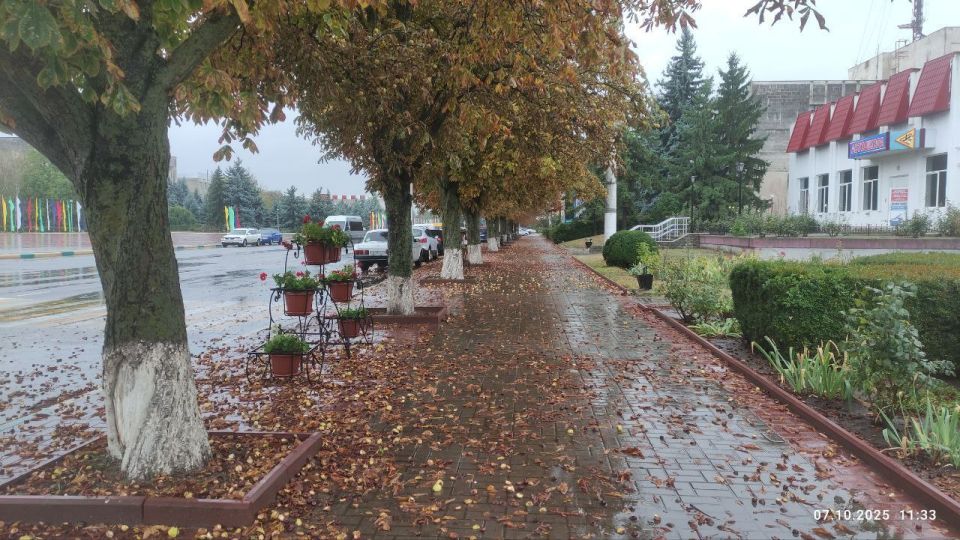 Дождливое настроение от Каменки до Днестровска Дождливое настроение от Каменки до Днестровска