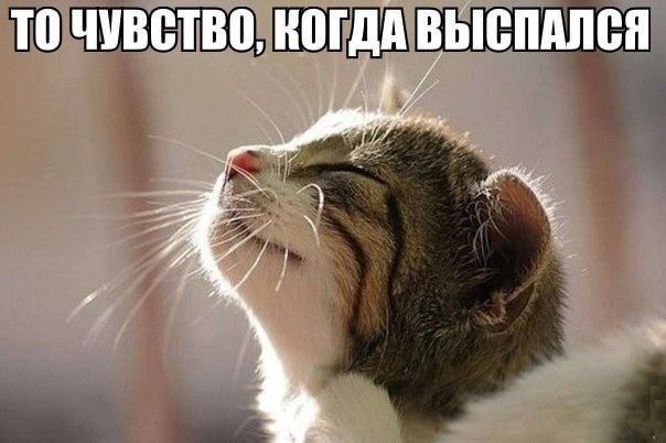 Хронический недосып — прямая угроза здоровью