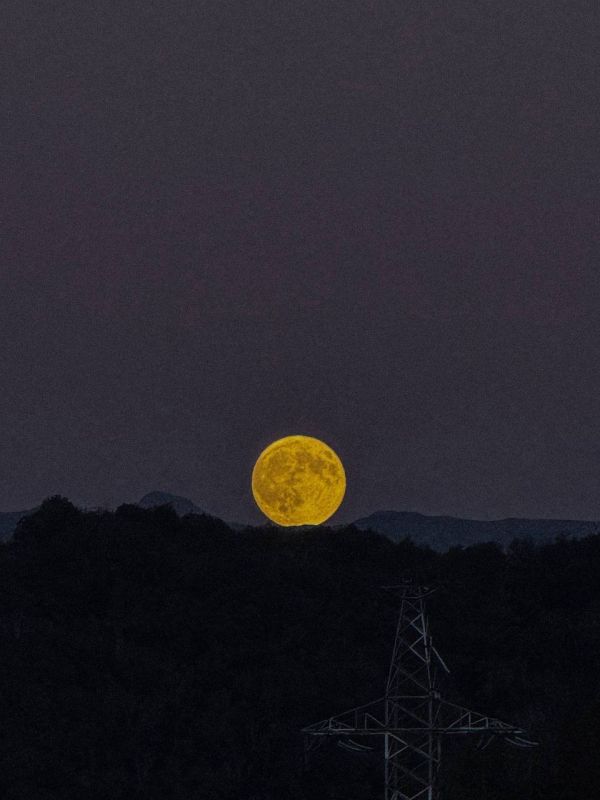 Жители всех регионов России этой ночью наблюдали суперлуние Жители всех регионов России этой ночью наблюдали суперлуние