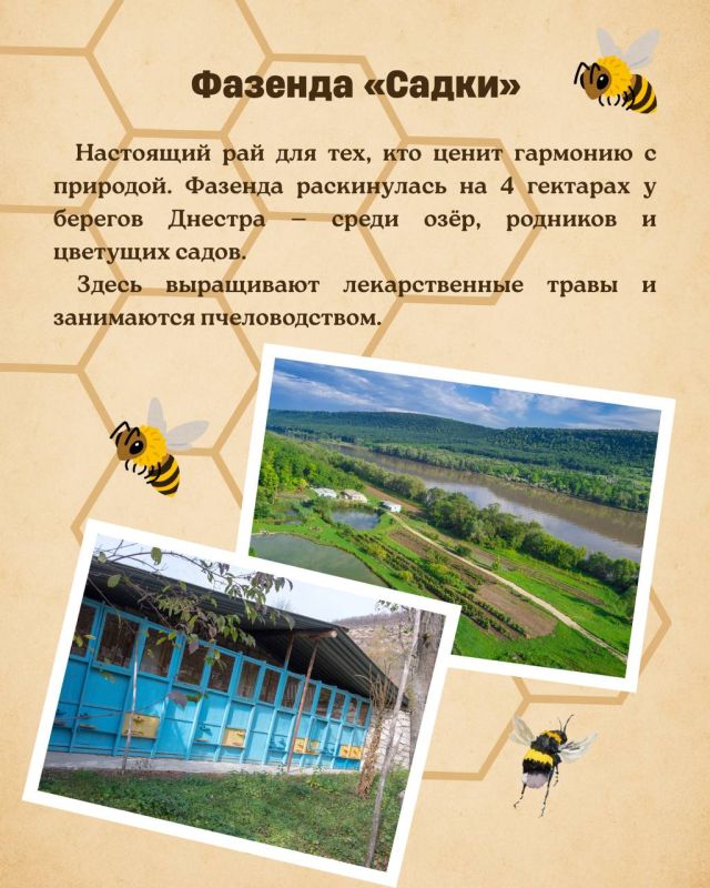 Объекты, подавшие заявку на конкурс «Лучший объект сельского туризма» Объекты, подавшие заявку на конкурс «Лучший объект сельского туризма»
