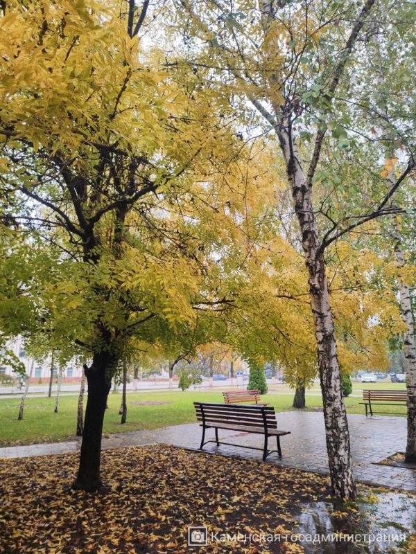 У природы нет плохой погоды — она всегда рисует шедевры У природы нет плохой погоды — она всегда рисует шедевры