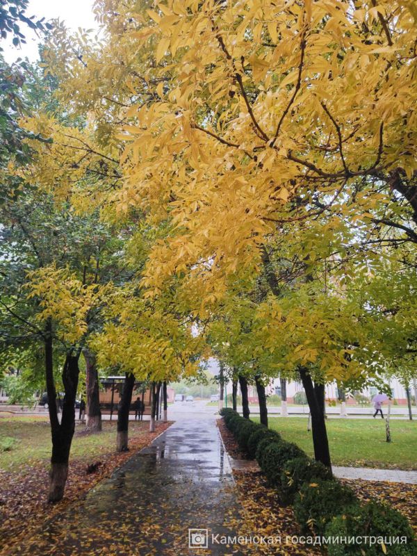 У природы нет плохой погоды — она всегда рисует шедевры У природы нет плохой погоды — она всегда рисует шедевры