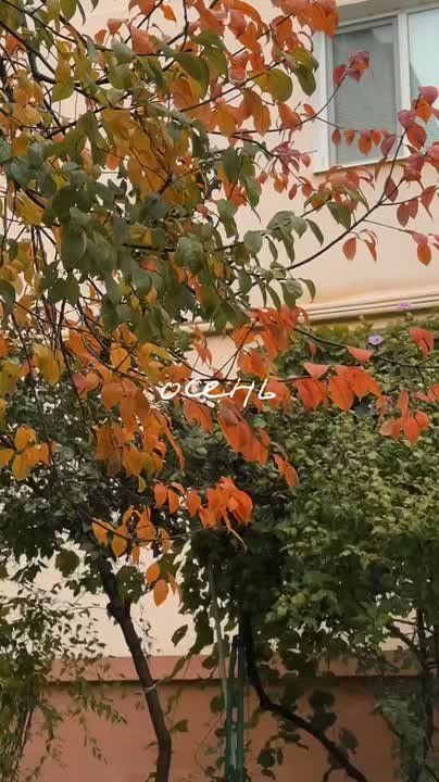   ,         