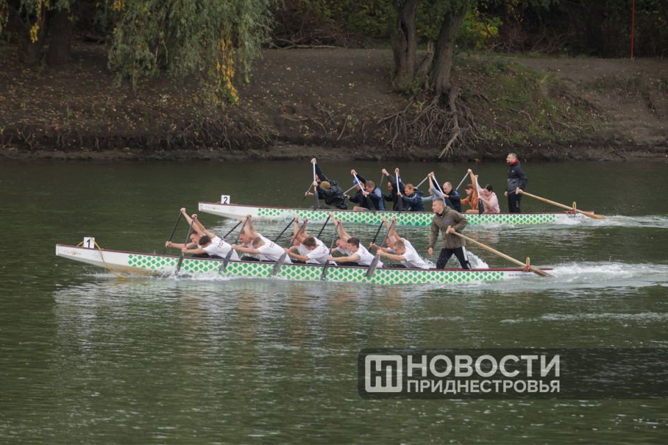 Регата по гребле на лодках класса «дракон» проходит в Тирасполе Регата по гребле на лодках класса «дракон» проходит в Тирасполе