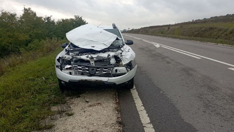 В Каларашском районе легковой автомобиль сбил на дороге оленя В Каларашском районе легковой автомобиль сбил на дороге оленя