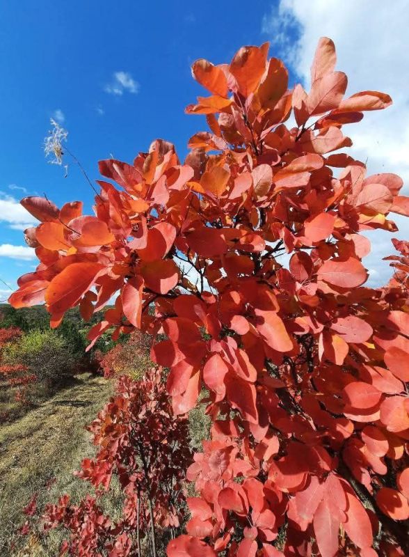 Чуден октябрь при ясной погоде Чуден октябрь при ясной погоде