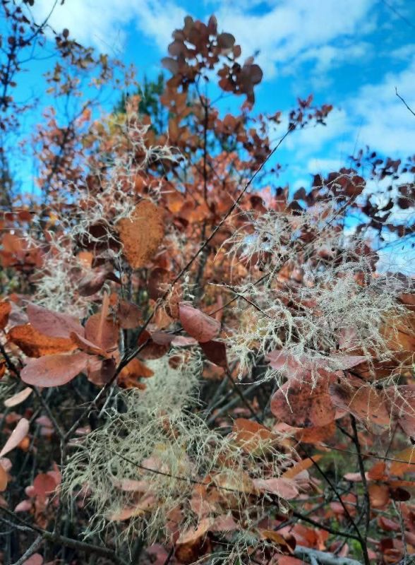 Чуден октябрь при ясной погоде Чуден октябрь при ясной погоде